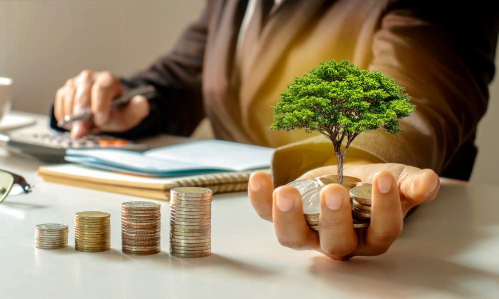 growing tree and coins in the hands of a business man
